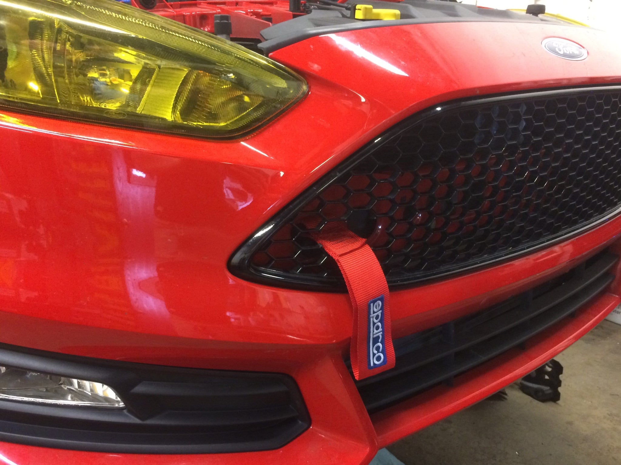 Damond Motorsports-Focus ST Tow Strap- at Damond Motorsports